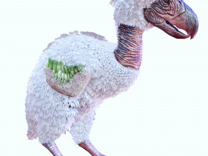 BIRD OF PREY TERROR HORROR DEMON DEVIL RAPTOR DINOSAUR EVIL FLYING PREHISTORIC CHARIZARD TERROR Modelo 3D