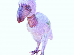 BIRD OF PREY TERROR HORROR DEMON DEVIL RAPTOR DINOSAUR EVIL FLYING PREHISTORIC CHARIZARD TERROR Modelo 3D