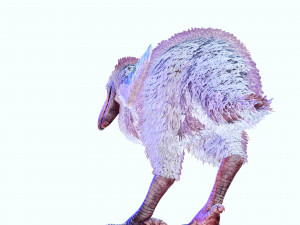 BIRD OF PREY TERROR HORROR DEMON DEVIL RAPTOR DINOSAUR EVIL FLYING PREHISTORIC CHARIZARD TERROR Modelo 3D