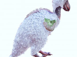 BIRD OF PREY TERROR HORROR DEMON DEVIL RAPTOR DINOSAUR EVIL FLYING PREHISTORIC CHARIZARD TERROR 3D Model