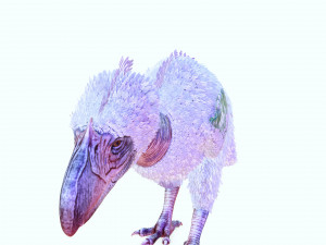 BIRD OF PREY TERROR HORROR DEMON DEVIL RAPTOR DINOSAUR EVIL FLYING PREHISTORIC CHARIZARD TERROR Modelo 3D