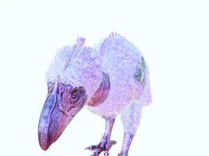 BIRD OF PREY TERROR HORROR DEMON DEVIL RAPTOR DINOSAUR EVIL FLYING PREHISTORIC CHARIZARD TERROR 3D Model