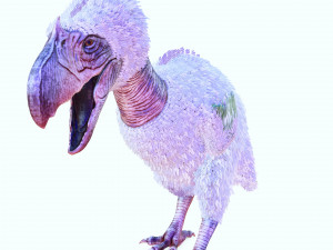 BIRD OF PREY TERROR HORROR DEMON DEVIL RAPTOR DINOSAUR EVIL FLYING PREHISTORIC CHARIZARD TERROR Modelo 3D