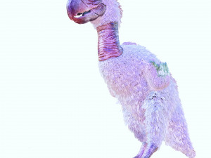 BIRD OF PREY TERROR HORROR DEMON DEVIL RAPTOR DINOSAUR EVIL FLYING PREHISTORIC CHARIZARD TERROR Modelo 3D