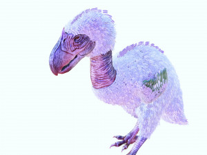 BIRD OF PREY TERROR HORROR DEMON DEVIL RAPTOR DINOSAUR EVIL FLYING PREHISTORIC CHARIZARD TERROR Modelo 3D