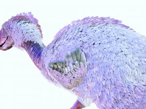 BIRD OF PREY TERROR HORROR DEMON DEVIL RAPTOR DINOSAUR EVIL FLYING PREHISTORIC CHARIZARD TERROR Modelo 3D