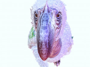BIRD OF PREY TERROR HORROR DEMON DEVIL RAPTOR DINOSAUR EVIL FLYING PREHISTORIC CHARIZARD TERROR Modelo 3D