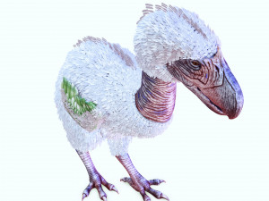 BIRD OF PREY TERROR HORROR DEMON DEVIL RAPTOR DINOSAUR EVIL FLYING PREHISTORIC CHARIZARD TERROR Modelo 3D