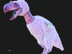 BIRD OF PREY TERROR HORROR DEMON DEVIL RAPTOR DINOSAUR EVIL FLYING PREHISTORIC CHARIZARD TERROR Modelo 3D