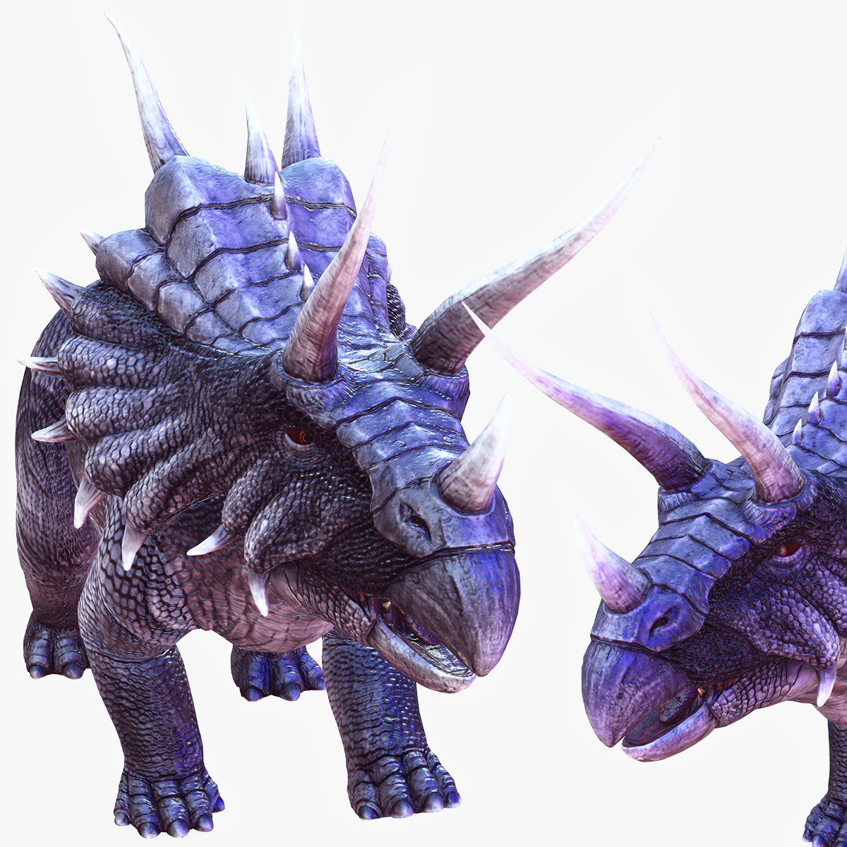 DOWNLOAD TRICERATOPS 3D MODEL TRICERATOPS TRICERATOPS REPTILE DINOSAUR MONSTER DINOSAUR devil 3D Model .c4d .max .obj .3ds .fbx .stl .blend