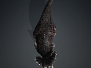 DOWNLOAD TRICERATOPS 3D MODEL TRICERATOPS DEVIL REPTILE TRICERATOPS DINOSAUR DINOSAUR MONSTER 3D-Modell