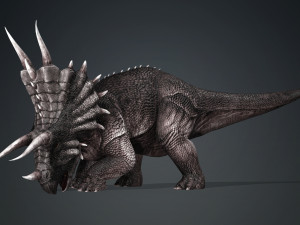 DOWNLOAD TRICERATOPS 3D MODEL TRICERATOPS DEVIL REPTILE TRICERATOPS DINOSAUR DINOSAUR MONSTER 3D-Modell