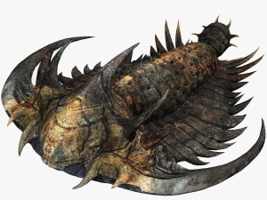 TRILOBITE DINOSAUR DOWNLOAD TRILOBITE 3D MODEL TRILOBITE BEETLE ARTHROPOD TRILOBITE DEVIL 3D Модель