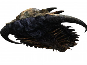 TRILOBITE DINOSAUR DOWNLOAD TRILOBITE 3D MODEL TRILOBITE BEETLE ARTHROPOD TRILOBITE DEVIL 3D Модель