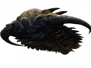 TRILOBITE DINOSAURO SCARICA TRILOBITE MODELLO 3D TRILOBITE BEETLE ARTROPODE TRILOBITE DEVIL Modello 3D