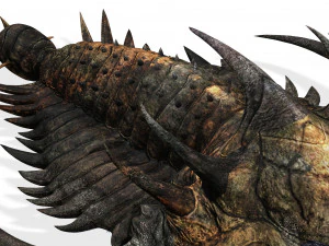 TRILOBITE DINOSAURO SCARICA TRILOBITE MODELLO 3D TRILOBITE BEETLE ARTROPODE TRILOBITE DEVIL Modello 3D