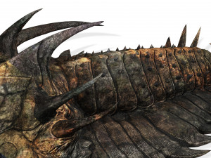 TRILOBITE DINOSAUR DOWNLOAD TRILOBITE 3D MODEL TRILOBITE BEETLE ARTHROPOD TRILOBITE DEVIL 3D Модель