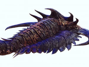 TRILOBITE DINOSAURO SCARICA TRILOBITE MODELLO 3D TRILOBITE BEETLE ARTROPODE TRILOBITE DEVIL Modello 3D