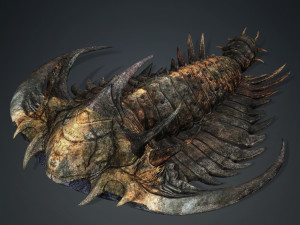 TRILOBITE DINOSAUR DOWNLOAD TRILOBITE 3D MODEL TRILOBITE BEETLE ARTHROPOD TRILOBITE DEVIL 3D Модель