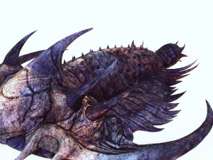 TRILOBITE DINOSAURO SCARICA TRILOBITE MODELLO 3D TRILOBITE BEETLE ARTROPODE TRILOBITE DEVIL Modello 3D