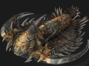 TRILOBITE DINOSAURO SCARICA TRILOBITE MODELLO 3D TRILOBITE BEETLE ARTROPODE TRILOBITE DEVIL Modello 3D
