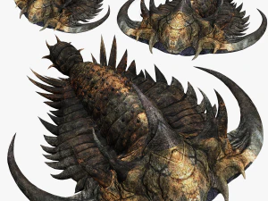 TRILOBITE DINOSAURO SCARICA TRILOBITE MODELLO 3D TRILOBITE BEETLE ARTROPODE TRILOBITE DEVIL Modello 3D