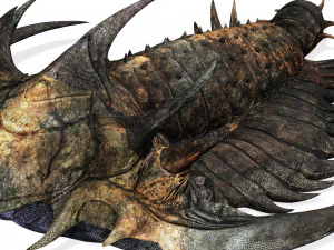 TRILOBITE DINOSAURO SCARICA TRILOBITE MODELLO 3D TRILOBITE BEETLE ARTROPODE TRILOBITE DEVIL Modello 3D