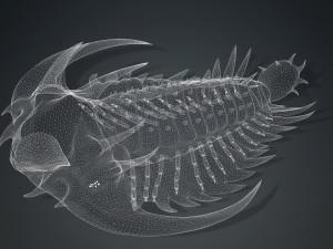 TRILOBITE DINOSAUR DOWNLOAD TRILOBITE 3D MODEL TRILOBITE BEETLE ARTHROPOD TRILOBITE DEVIL 3D Модель