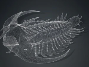 TRILOBITE DINOSAURO SCARICA TRILOBITE MODELLO 3D TRILOBITE BEETLE ARTROPODE TRILOBITE DEVIL Modello 3D