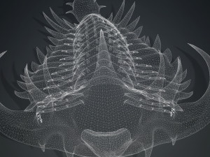 TRILOBITE DINOSAUR DOWNLOAD TRILOBITE 3D MODEL TRILOBITE BEETLE ARTHROPOD TRILOBITE DEVIL 3D Модель