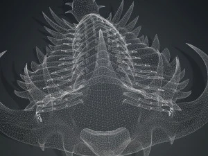 TRILOBITE DINOSAURO SCARICA TRILOBITE MODELLO 3D TRILOBITE BEETLE ARTROPODE TRILOBITE DEVIL Modello 3D