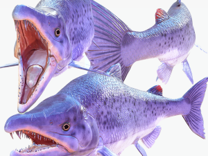 SALMON DOWNLOAD SALMON 3D MODEL SALMON SALMON DINOSAUR DINOSAUR SALMON DINOSAUR 3D-Modell