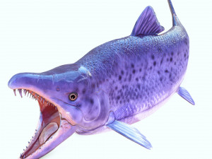 SALMON DOWNLOAD SALMON 3D MODEL SALMON SALMON DINOSAUR DINOSAUR SALMON DINOSAUR Modelo 3D