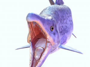SALMON DOWNLOAD SALMON 3D MODEL SALMON SALMON DINOSAUR DINOSAUR SALMON DINOSAUR Modelo 3D