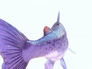 SALMON DOWNLOAD SALMON 3D MODEL SALMON SALMON DINOSAUR DINOSAUR SALMON DINOSAUR Modelo 3D