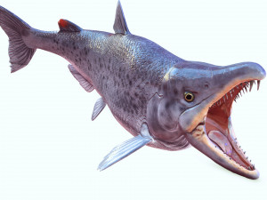 SALMON DOWNLOAD SALMON 3D MODEL SALMON SALMON DINOSAUR DINOSAUR SALMON DINOSAUR Modelo 3D