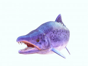 SALMON DOWNLOAD SALMON 3D MODEL SALMON SALMON DINOSAUR DINOSAUR SALMON DINOSAUR Modelo 3D