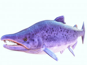 SALMON DOWNLOAD SALMON 3D MODEL SALMON SALMON DINOSAUR DINOSAUR SALMON DINOSAUR Modelo 3D