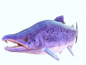 SALMON DOWNLOAD SALMON 3D MODEL SALMON SALMON DINOSAUR DINOSAUR SALMON DINOSAUR Modelo 3D