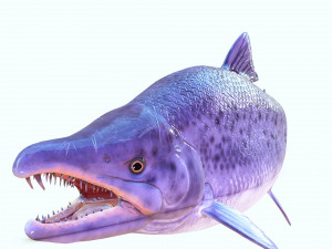 SALMON DOWNLOAD SALMON 3D MODEL SALMON SALMON DINOSAUR DINOSAUR SALMON DINOSAUR Modelo 3D