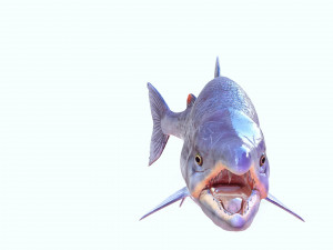 SALMON DOWNLOAD SALMON 3D MODEL SALMON SALMON DINOSAUR DINOSAUR SALMON DINOSAUR Modelo 3D
