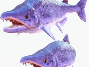 SALMON DOWNLOAD SALMON 3D MODEL SALMON SALMON DINOSAUR DINOSAUR SALMON DINOSAUR Modelo 3D