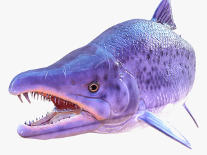 SALMON DOWNLOAD SALMON 3D MODEL SALMON SALMON DINOSAUR DINOSAUR SALMON DINOSAUR Modelo 3D