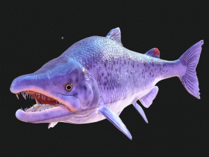 SALMON DOWNLOAD SALMON 3D MODEL SALMON SALMON DINOSAUR DINOSAUR SALMON DINOSAUR Modelo 3D