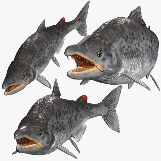 SALMON SALMON DINOSAUR DINOSAUR DINOSAUR DOWNLOAD SALMON 3D MODEL RAPTOR EVIL TERROR WATER DEVIL 3D 3D Model .c4d .max .obj .3ds .fbx .stl .blend 