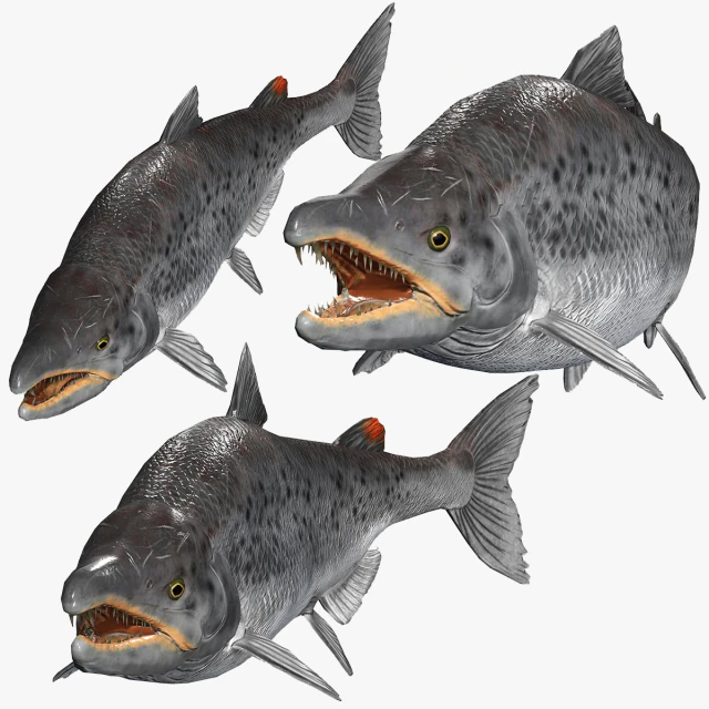 SALMONE SALMONE DINOSAURO DINOSAURO DINOSAURO SCARICA SALMONE MODELLO 3D RAPTOR MALVAGIO TERRORE DIAVOLO DELL'ACQUA 3D Modello 3D .c4d .max .obj .3ds .fbx .stl .blend 