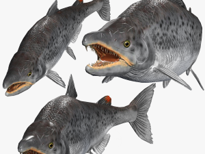 SALMON SALMON DINOSAUR DINOSAUR DINOSAUR DOWNLOAD SALMON 3D MODEL RAPTOR EVIL TERROR WATER DEVIL 3D 3D-Modell
