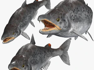 SALMONE SALMONE DINOSAURO DINOSAURO DINOSAURO SCARICA SALMONE MODELLO 3D RAPTOR MALVAGIO TERRORE DIAVOLO DELL'ACQUA 3D Modello 3D