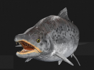 SALMON SALMON DINOSAUR DINOSAUR DINOSAUR DOWNLOAD SALMON 3D MODEL RAPTOR EVIL TERROR WATER DEVIL 3D 3D Model