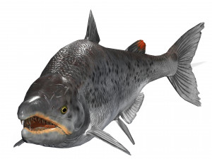 SALMON SALMON DINOSAUR DINOSAUR DINOSAUR DOWNLOAD SALMON 3D MODEL RAPTOR EVIL TERROR WATER DEVIL 3D 3D Model